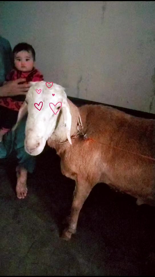 @Ali khan