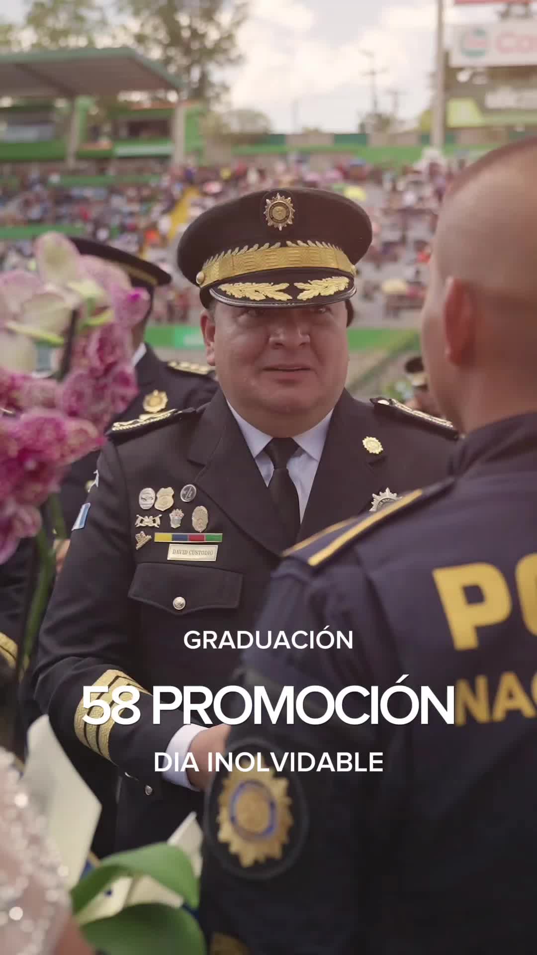 @Rafael Junior