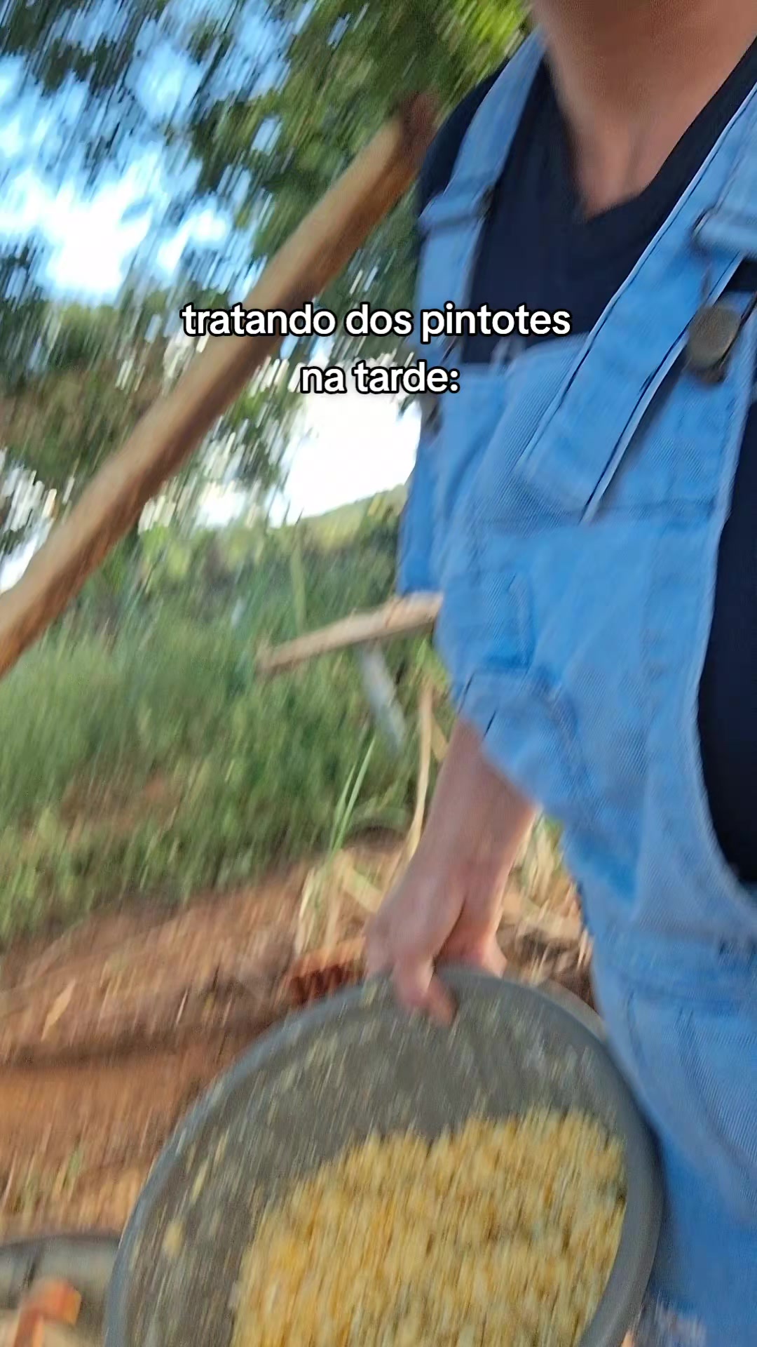 @fabiana