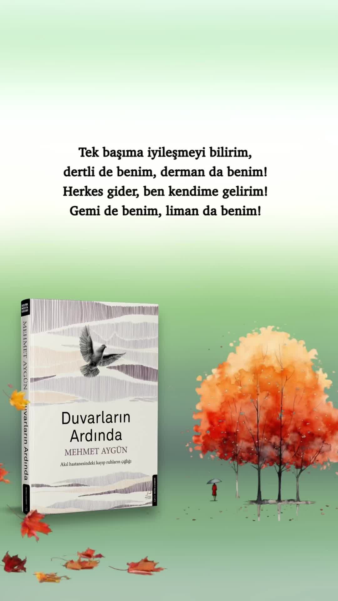 @Mehmet Aygün