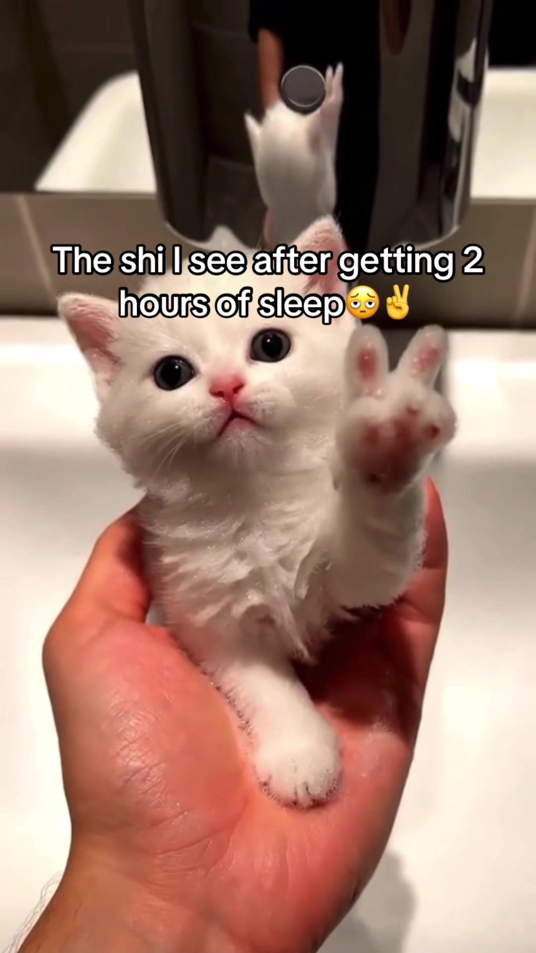 @Ꮶingrosenau🙂↕️👑