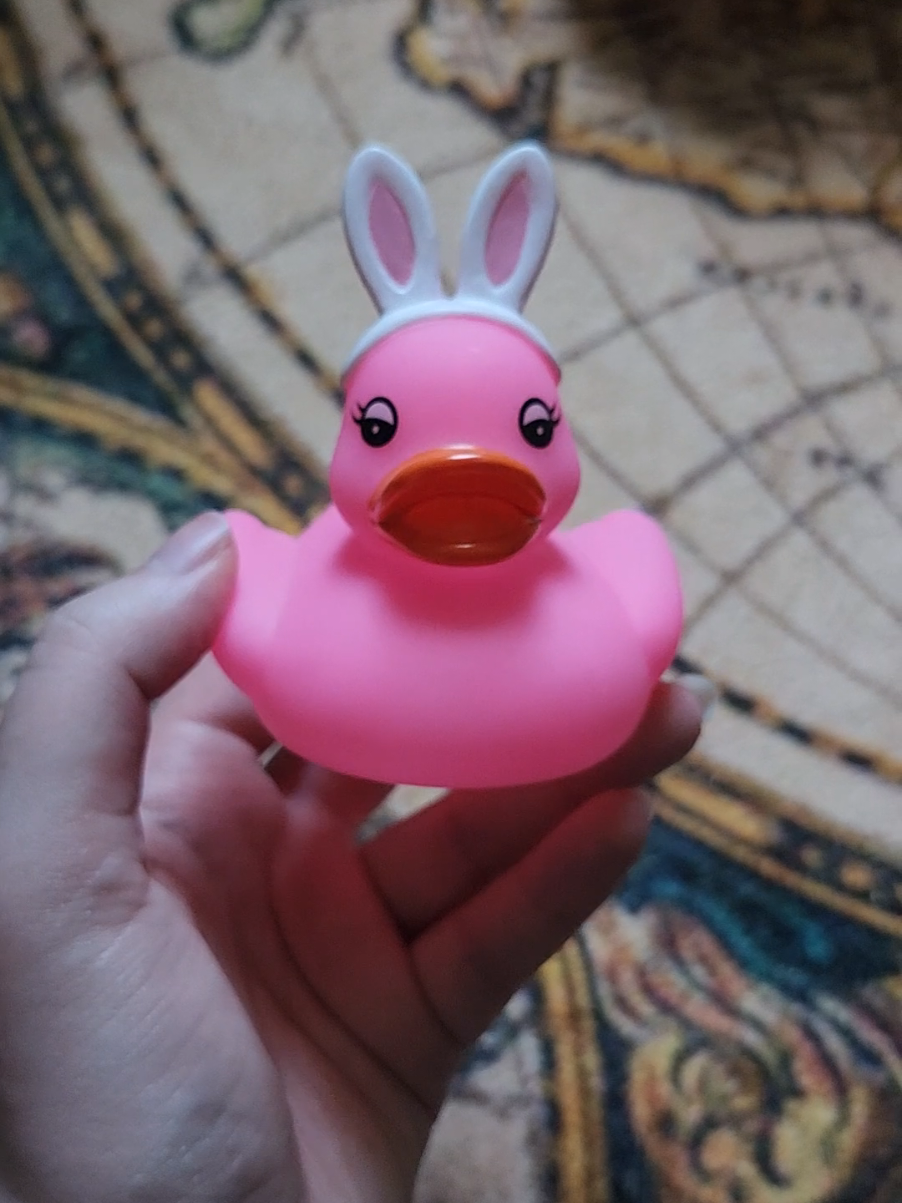 @Lord of the Ducks