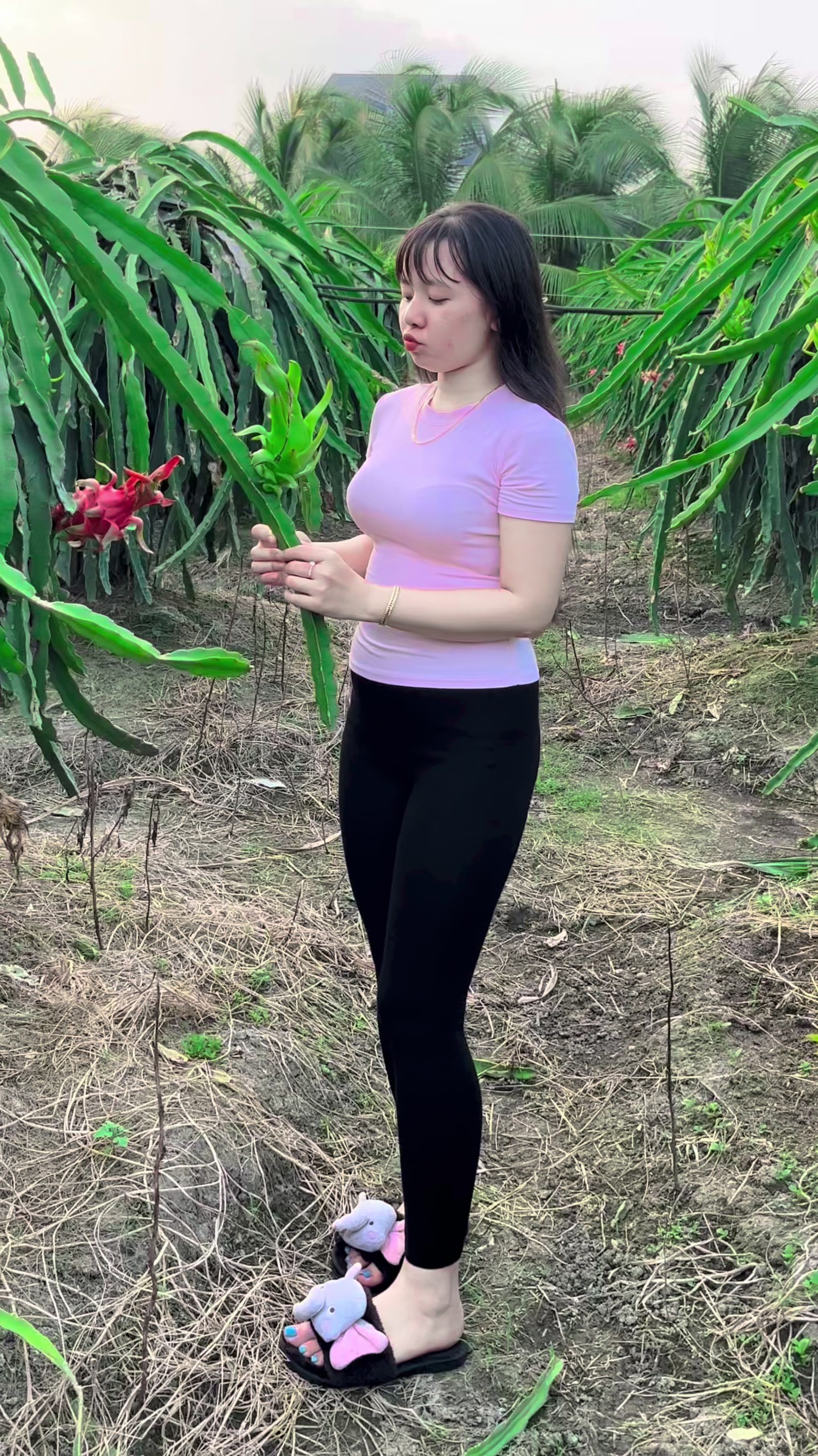 @Cẩm Tr&uacute;c
