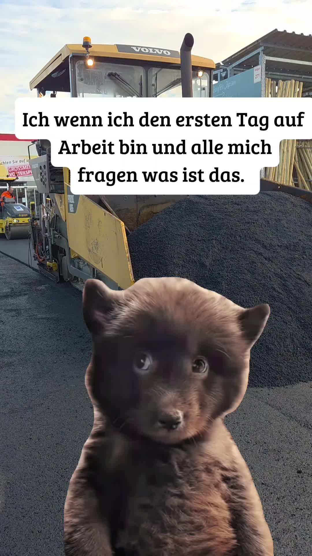 @Sven Schreiber