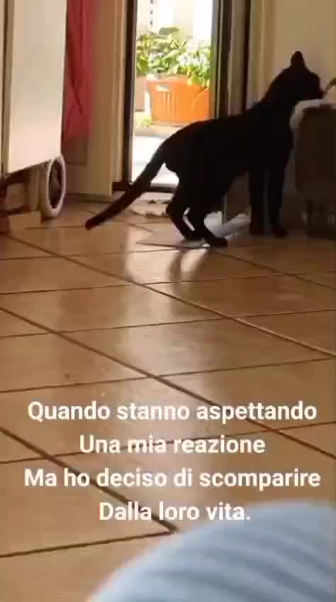 @ELETTRA L'ANIMALISTA