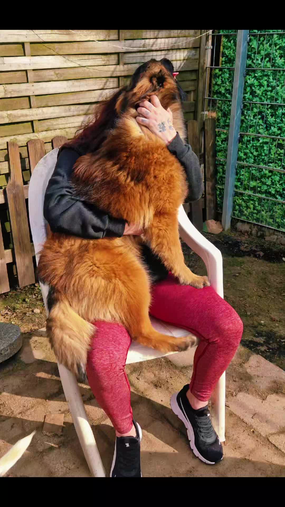 @🐾🐕 Mo 🐕🐾