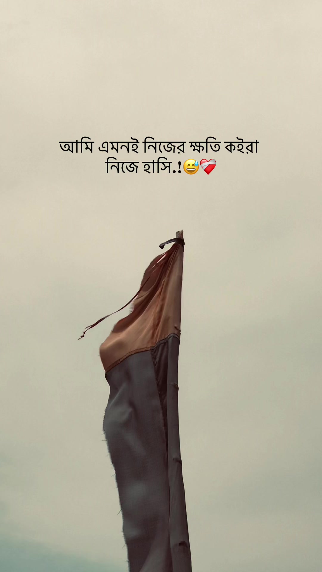 @the_spydoo🕸️ 🥏