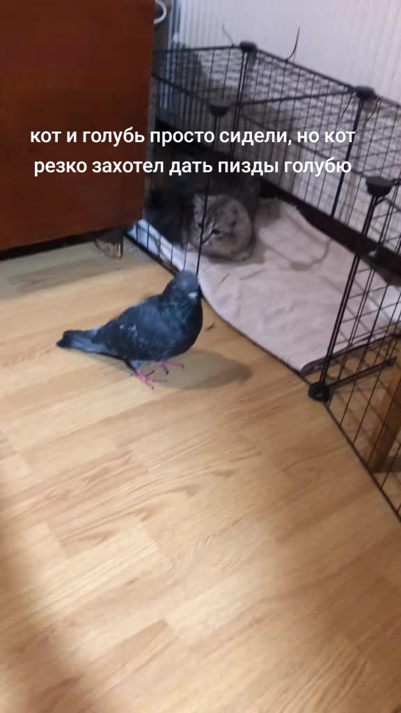 @Имя