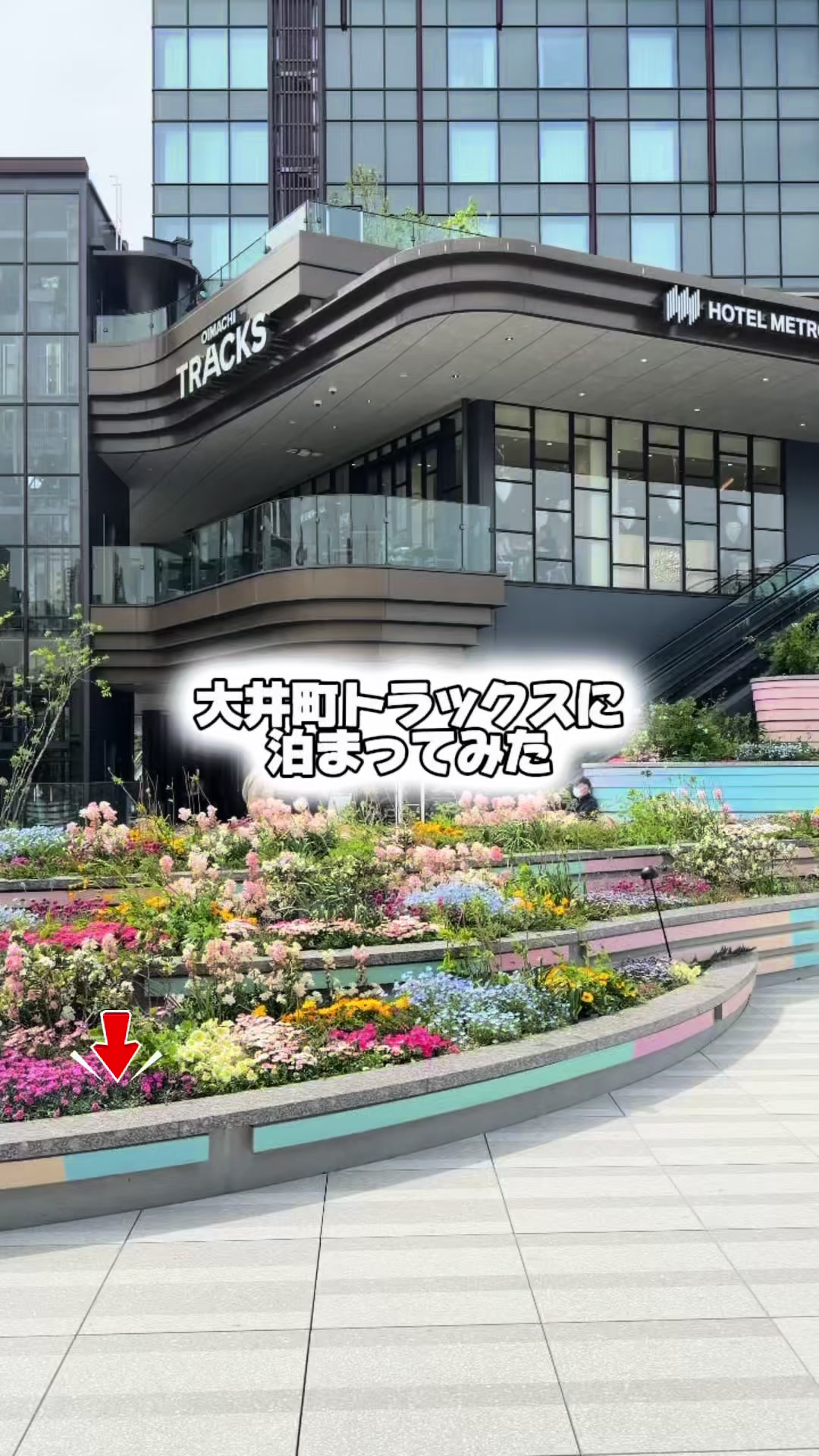 @しー:0歳2歳の姉妹とお出かけ