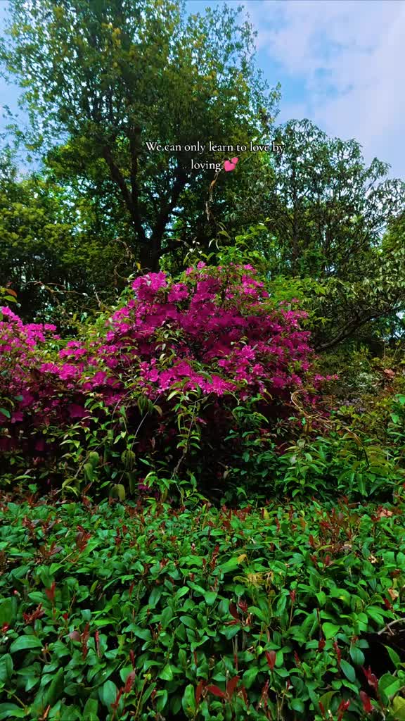 @ɪɴꜰɪɴɪᴛʏ®