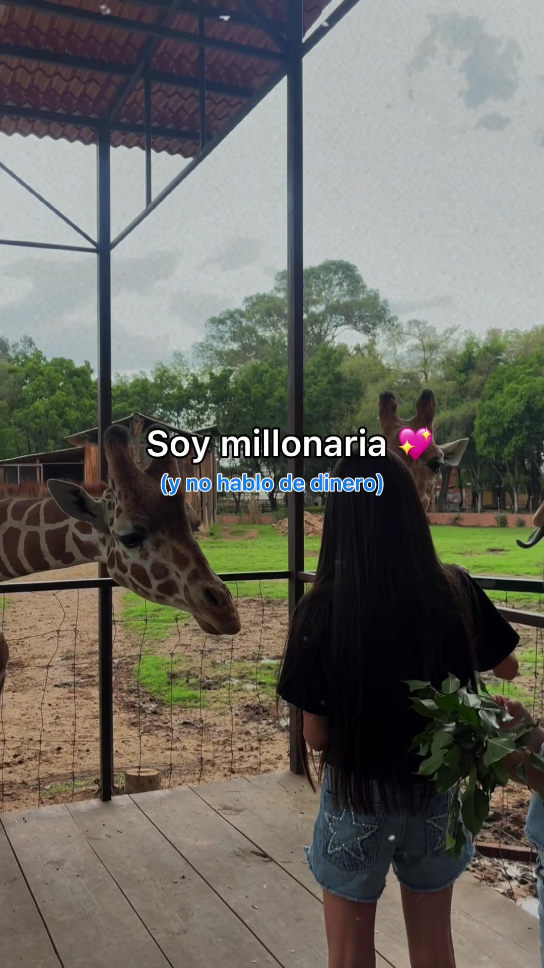 @Brenda