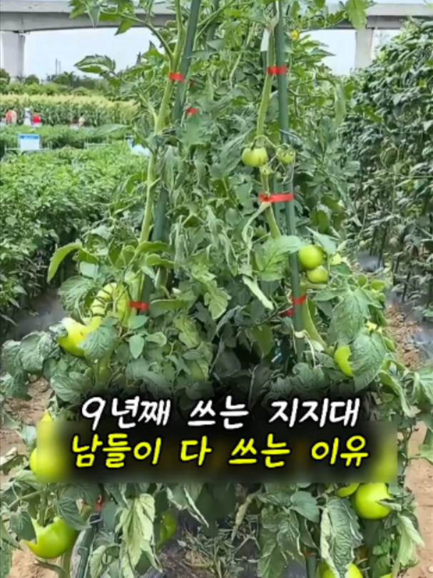 @리키백커