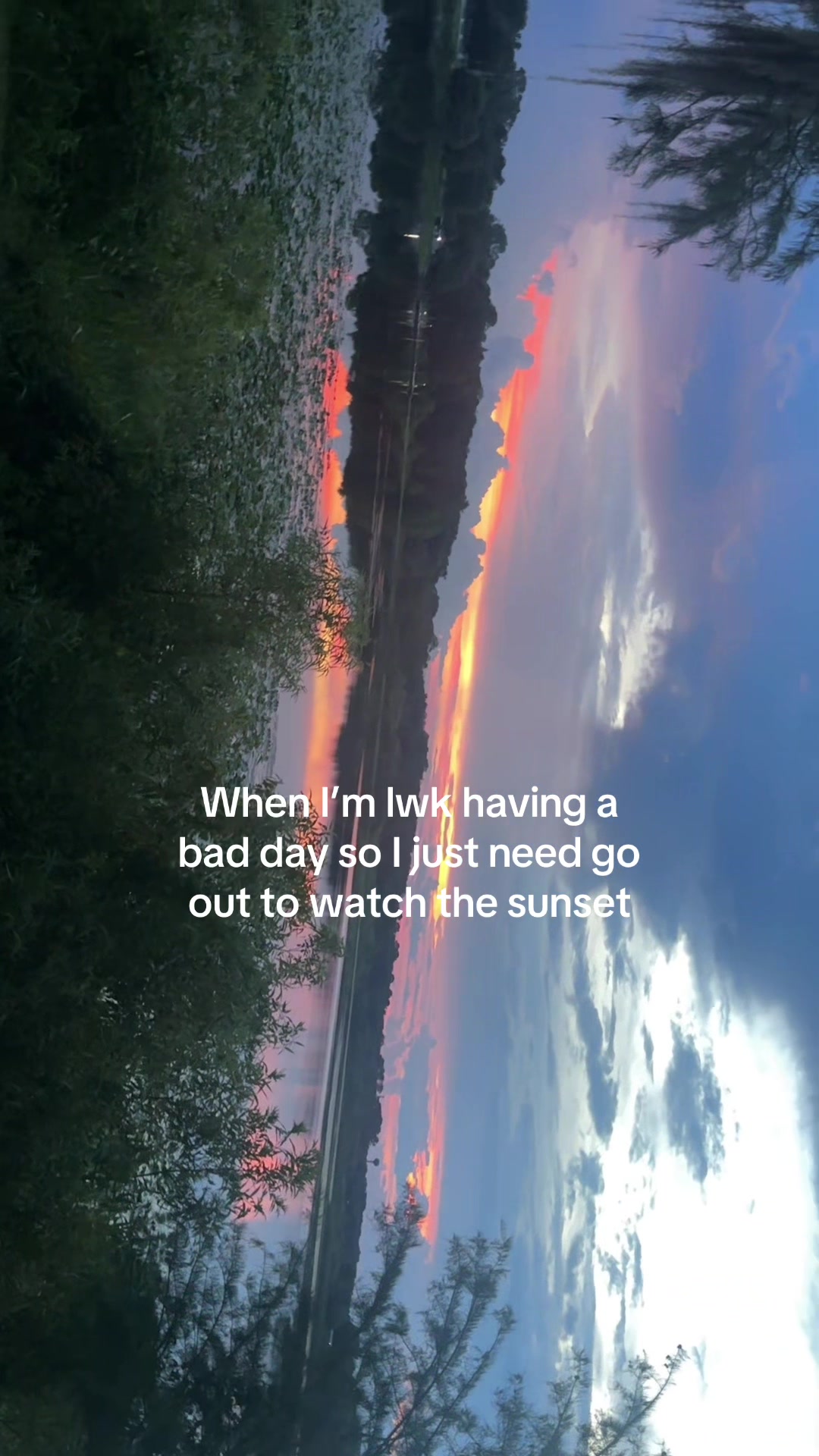 @lmcalegario
