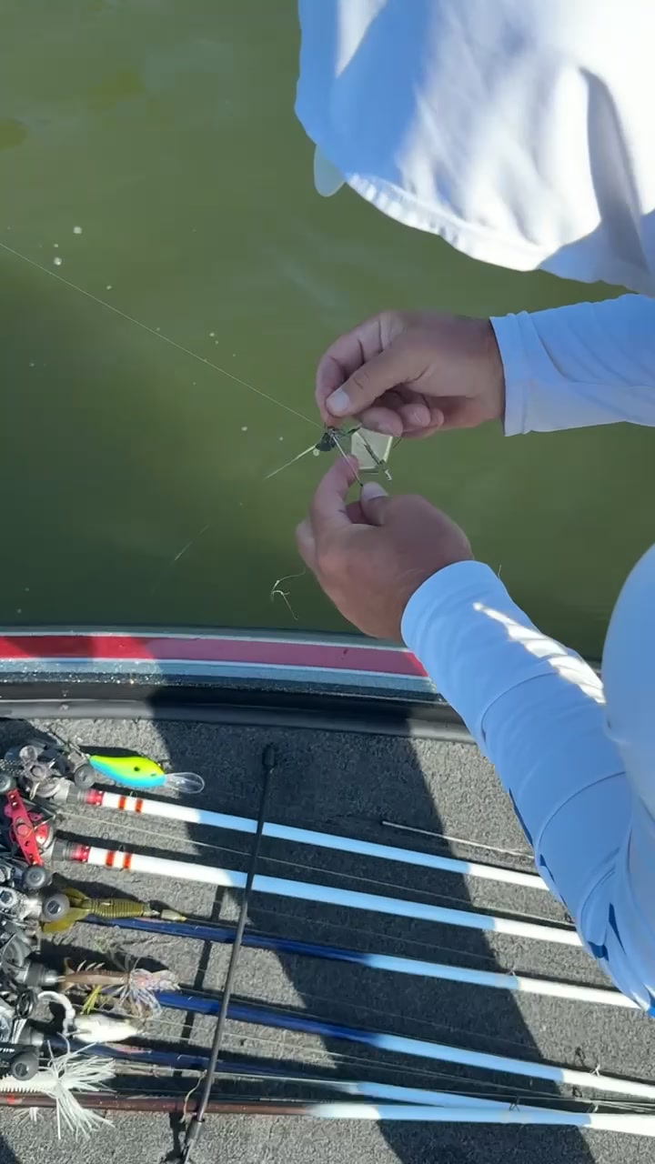 @LambFishing