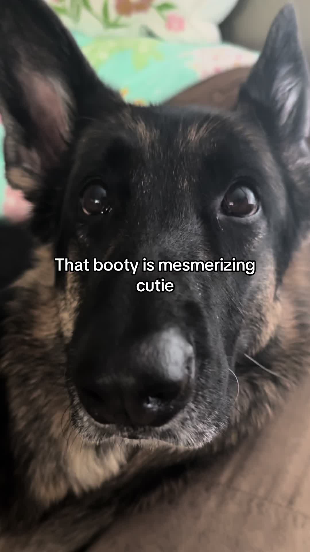 @Bhris