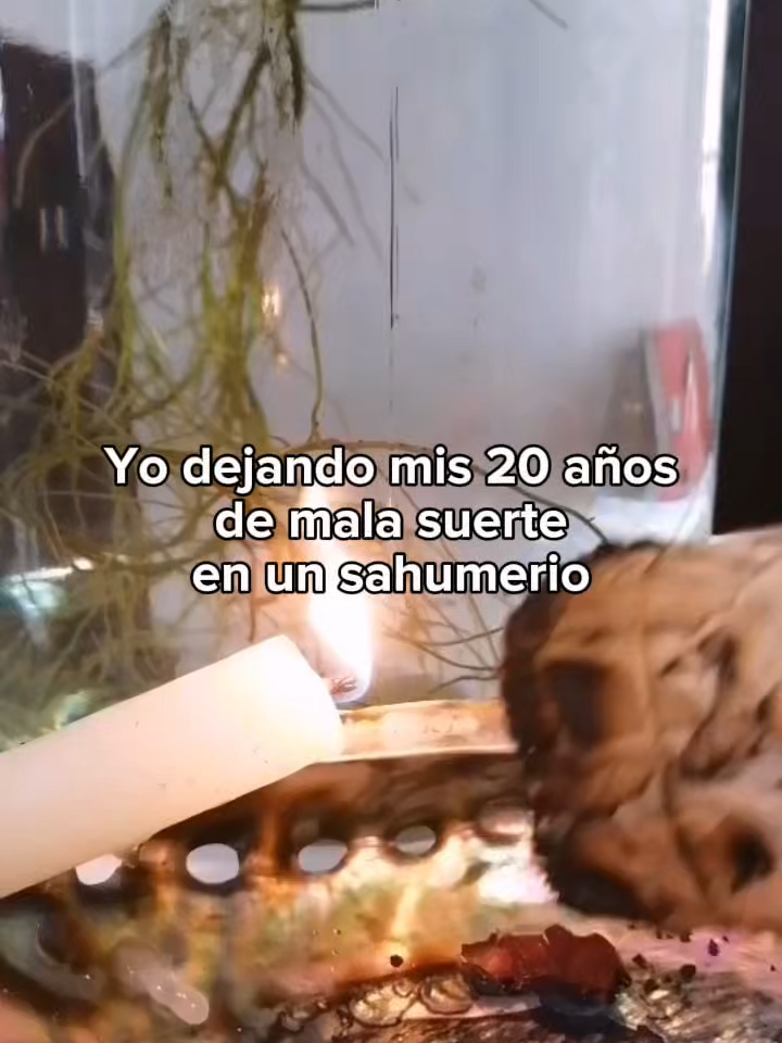 @Sentidos de la Vida