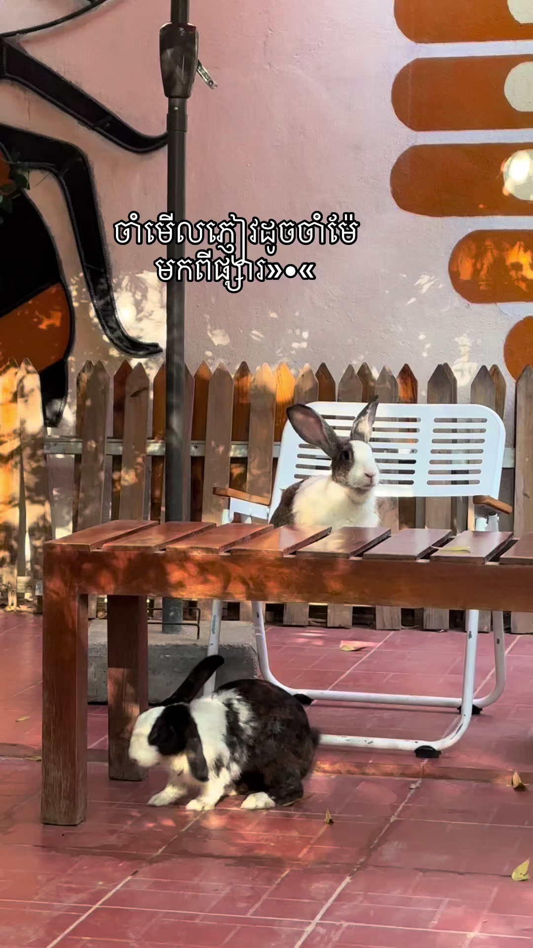 @សួនកាហ្វេ Garden Coffee