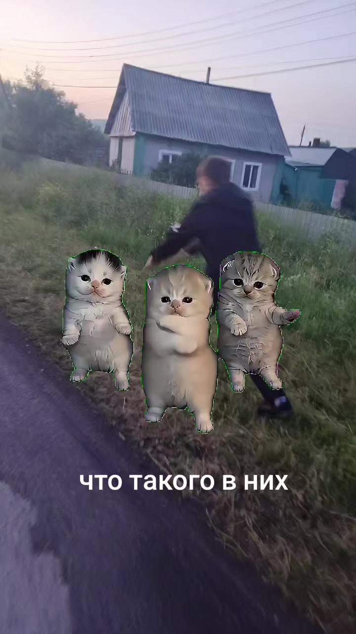 @Dmstrit🥊