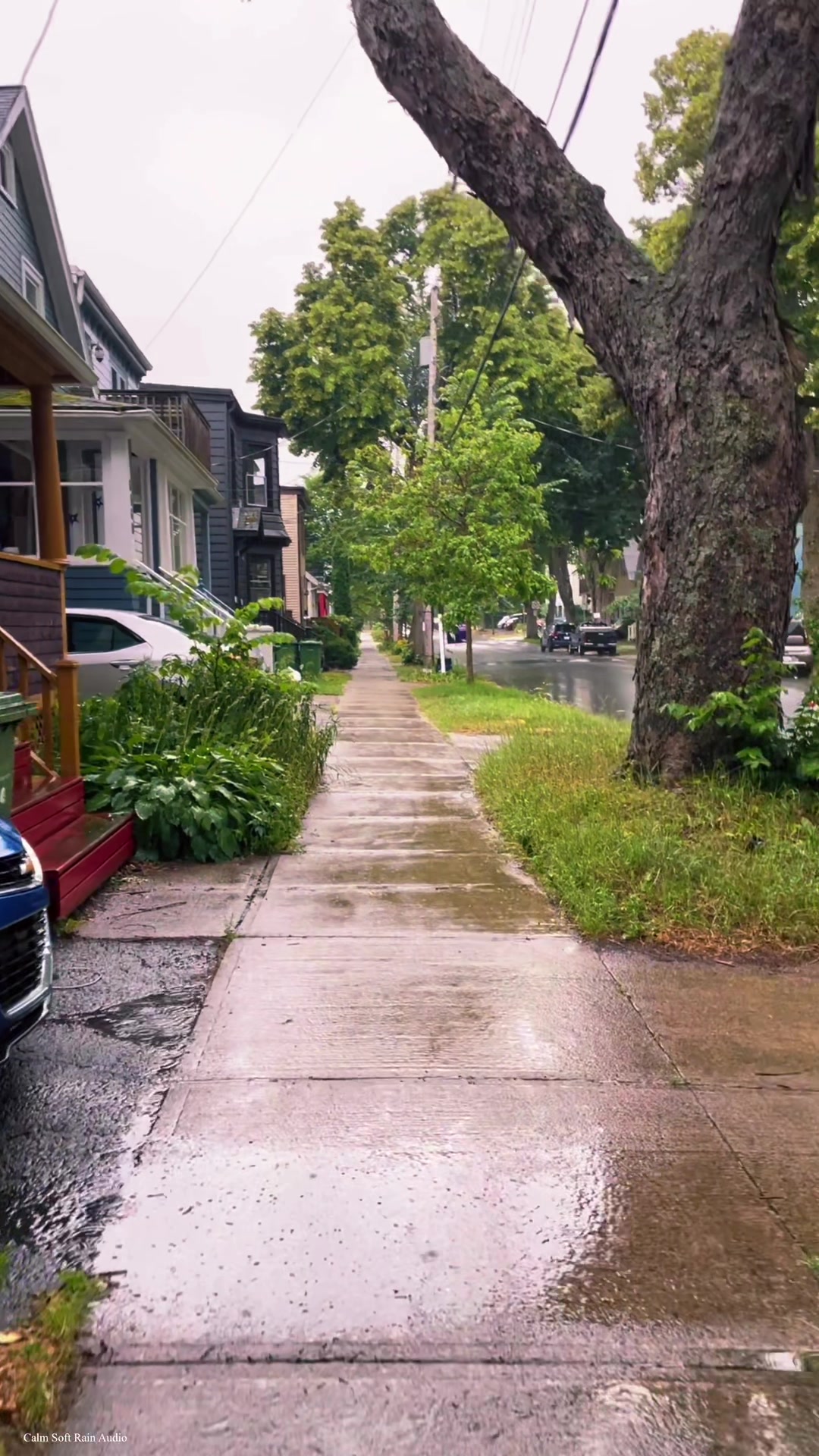 @Calm Soft Rain Audio