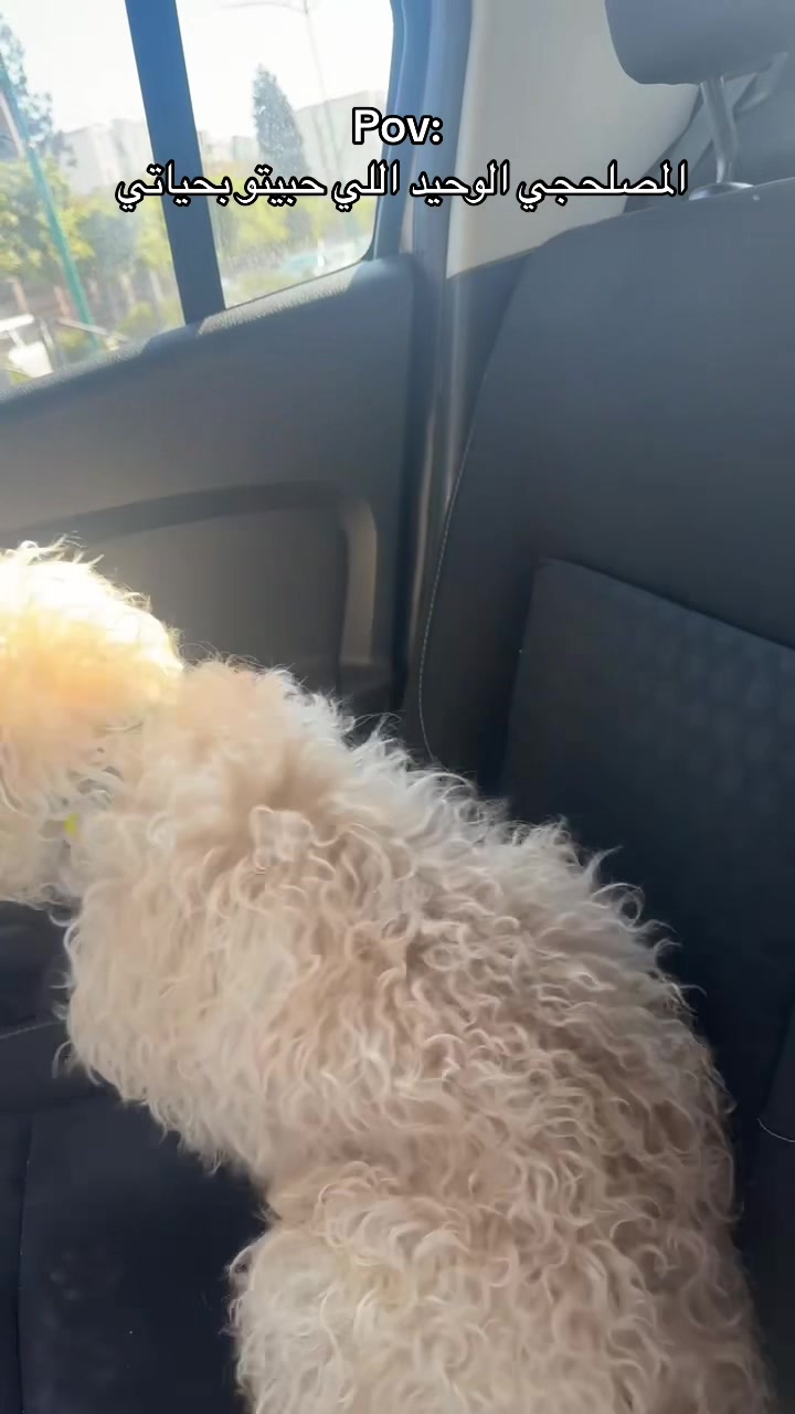 @A 🧸
