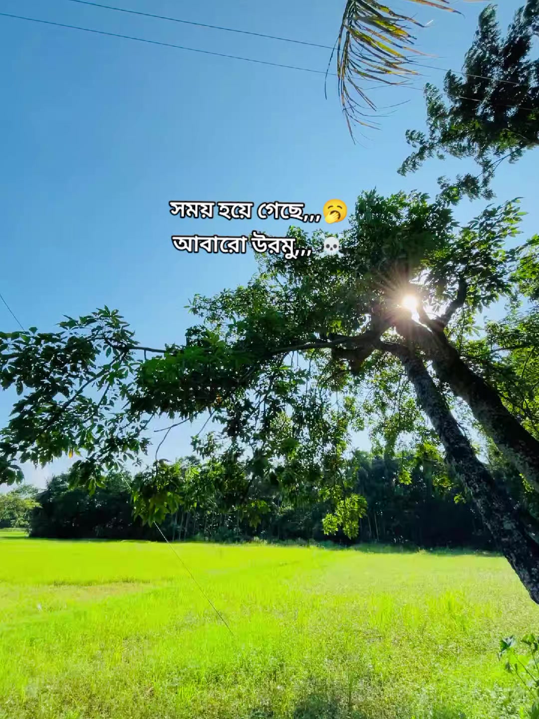 @Rox Noyon 