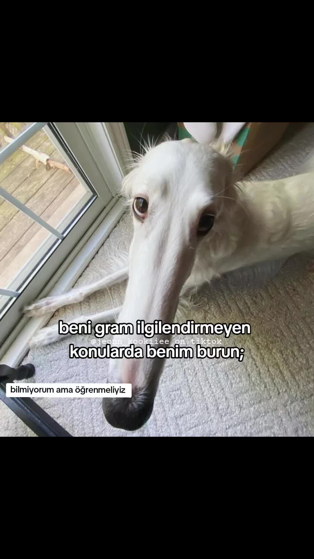 @𝐏𝐨𝐥𝐚𝐭.