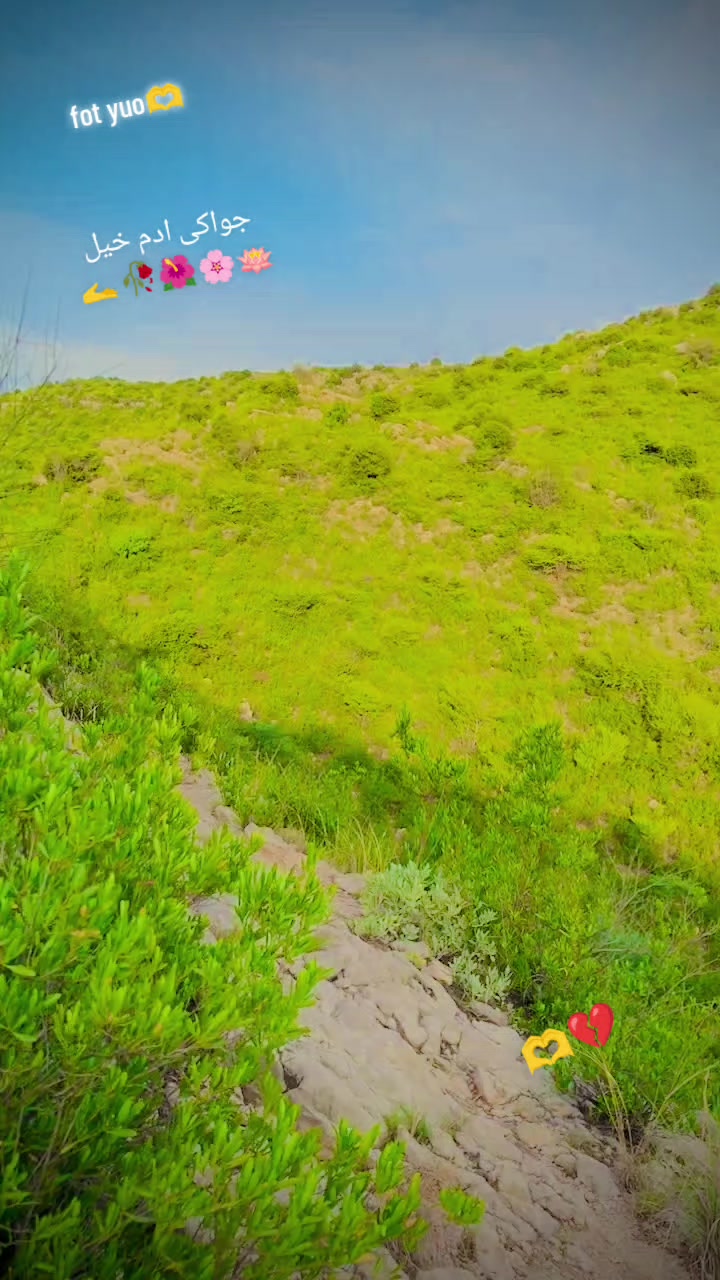 @Faizan _khan 368