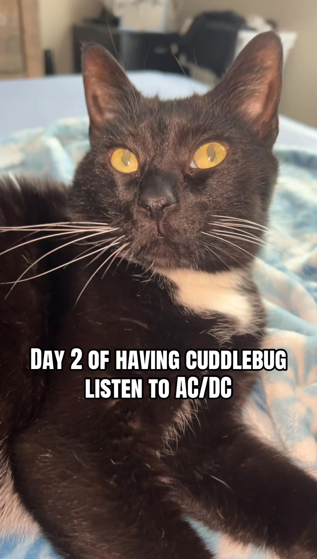 @CuddleBug