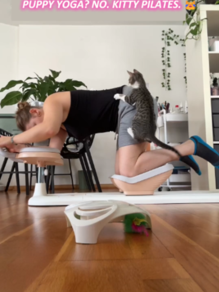 @FlexiHome Home Gym