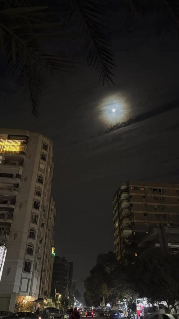@fatima_h_harb