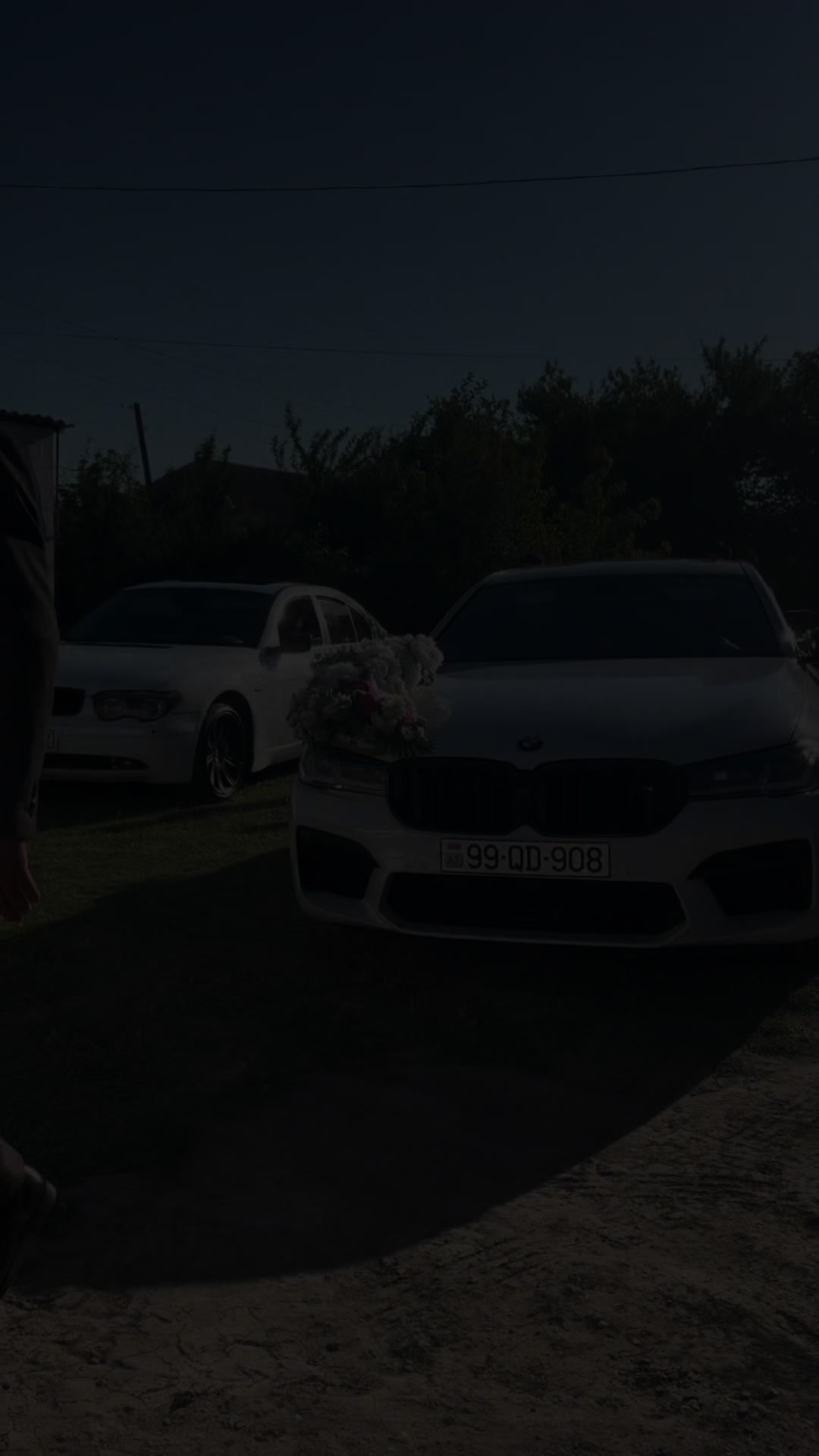 @𝐸𝑙𝑣𝑖𝑛086