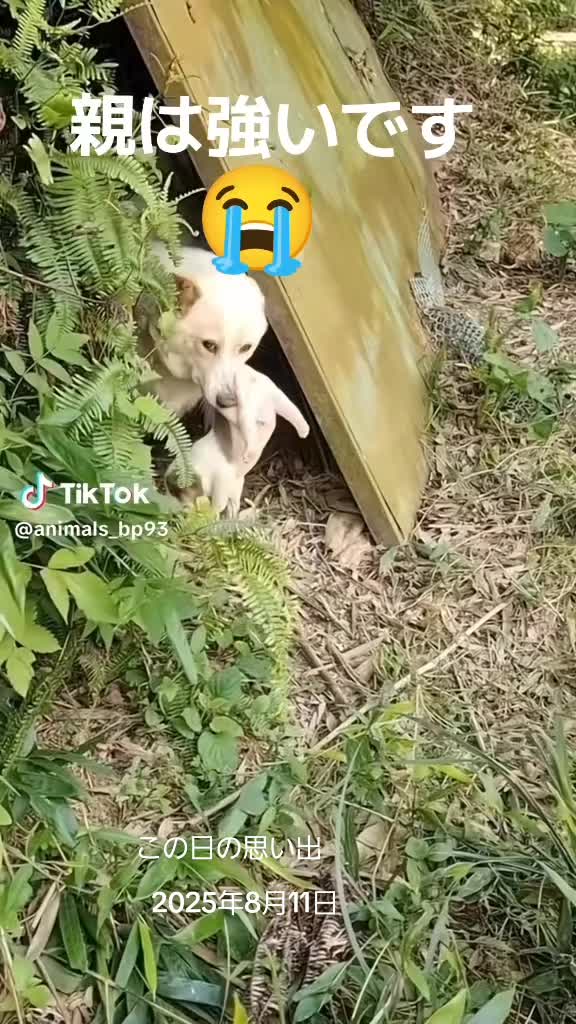 @ひろし❗️