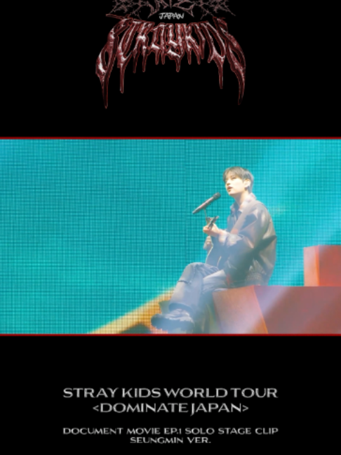 @straykids_japan