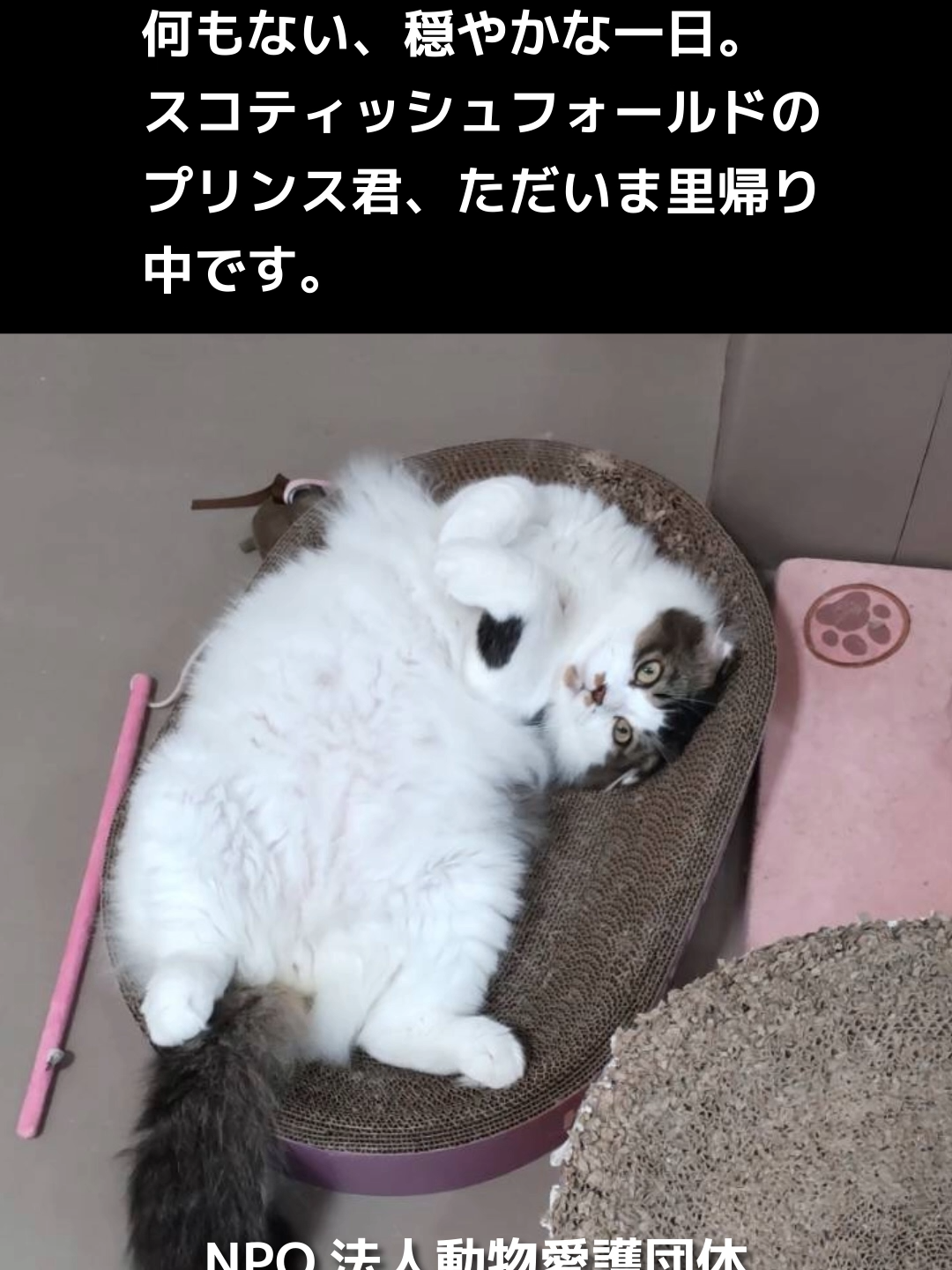 @NPO法人エターナル・ホーム