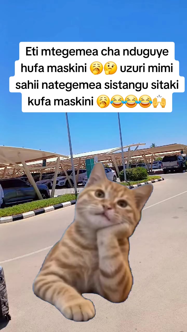 @Miss Vibez ๐ค๐๐