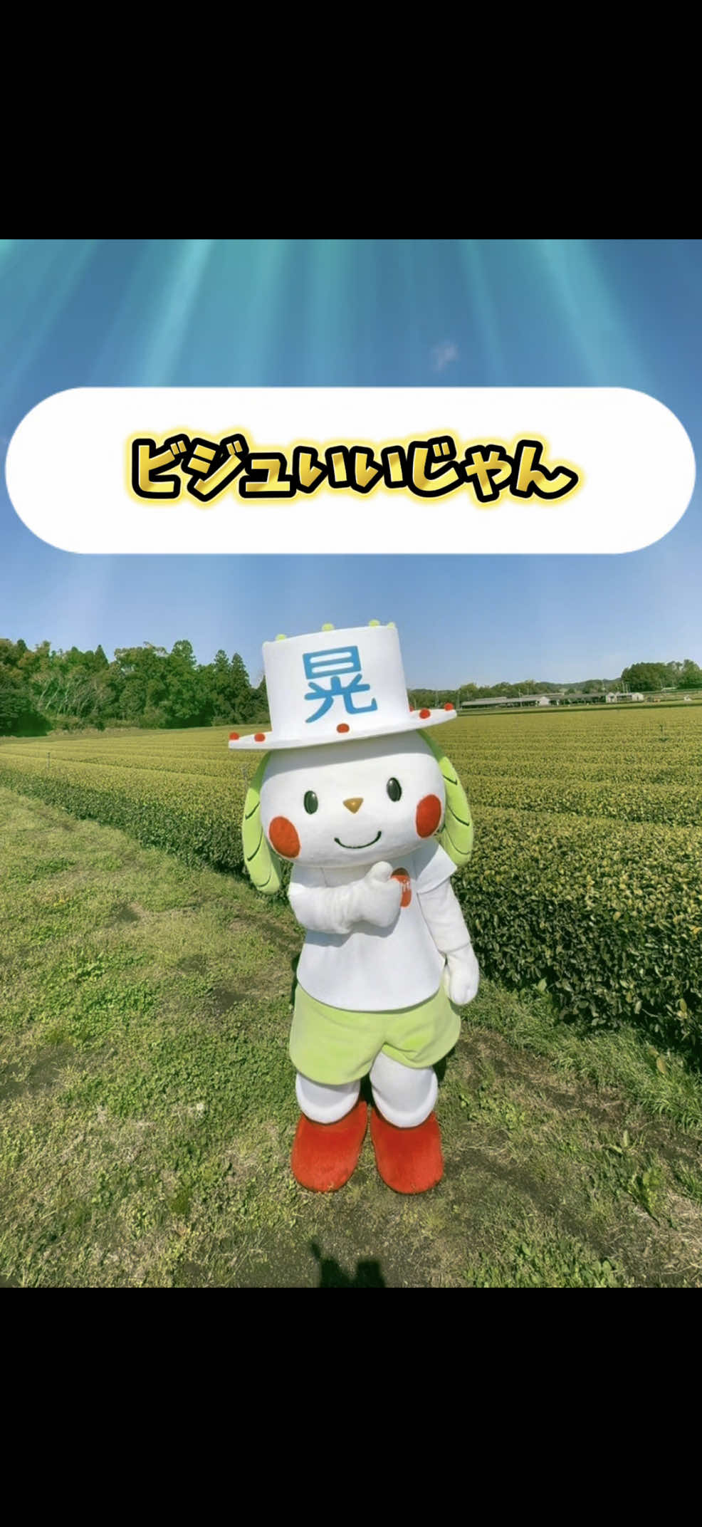 @お茶わんこはがねちゃん 堀口製茶PRキャラ