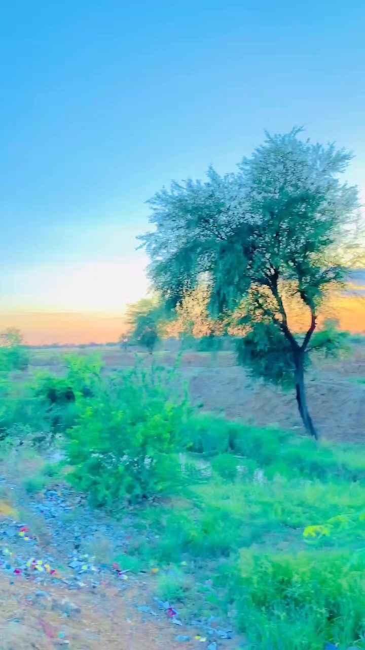 @manzoorahmed