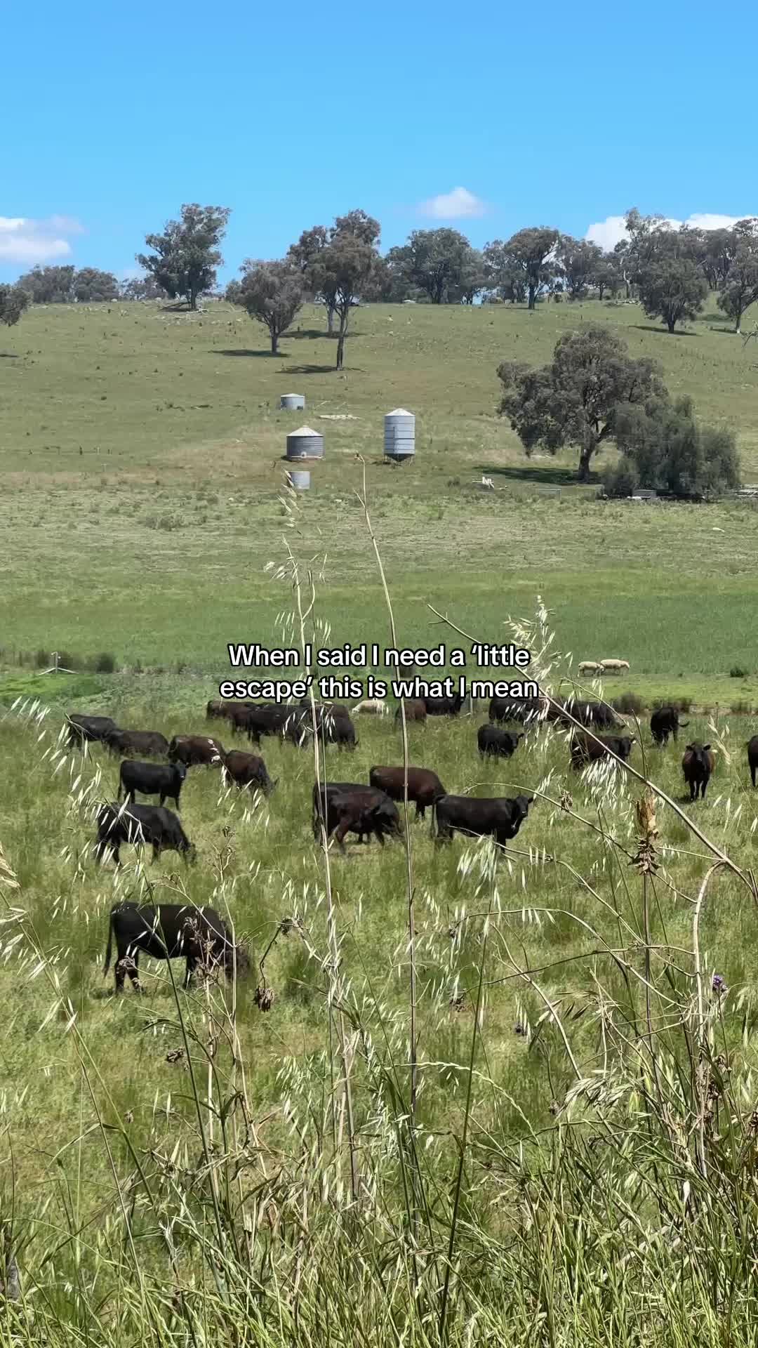 @Sierra Escape Mudgee NSW