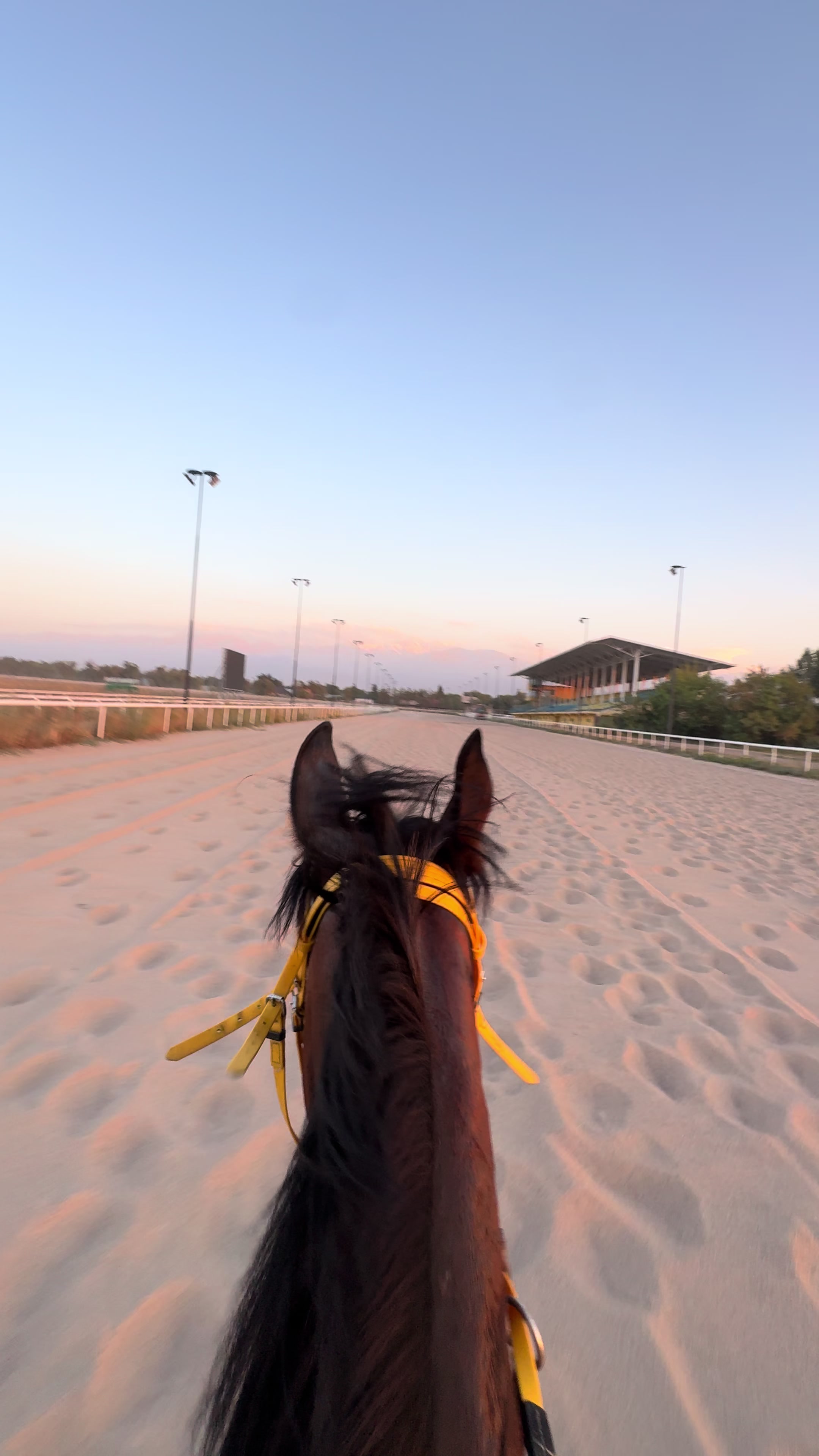 @🐎Ева🐎
