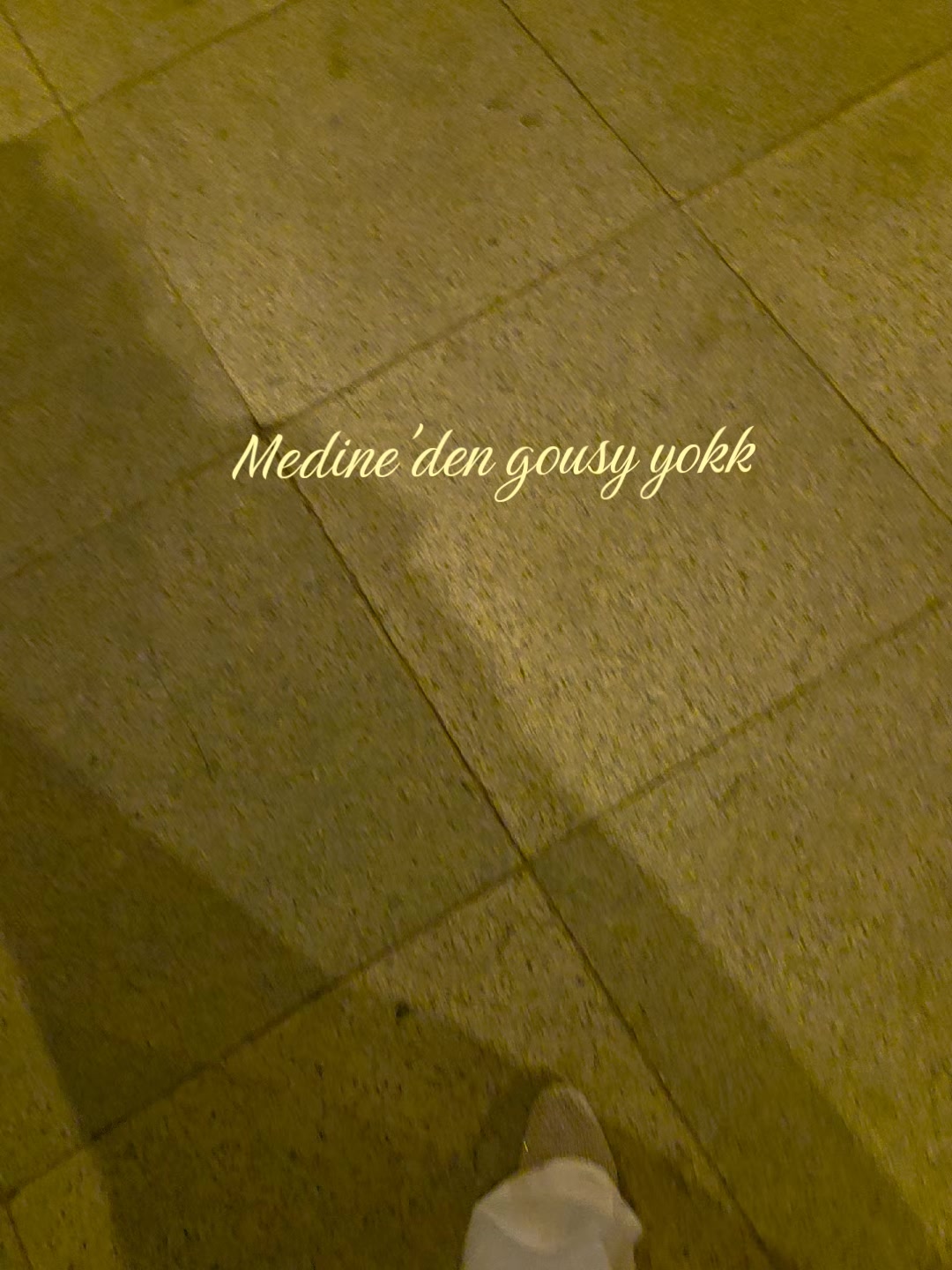 @𝐴𝑦𝑙𝑎𝑟🦩