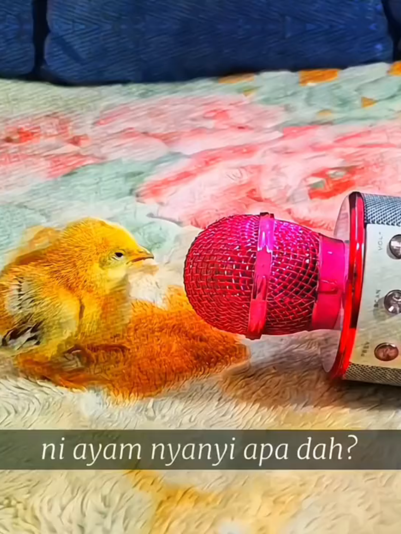 @々Rinz`𝐙𝐨𝐥𝐝𝐲𝐜𝐤
