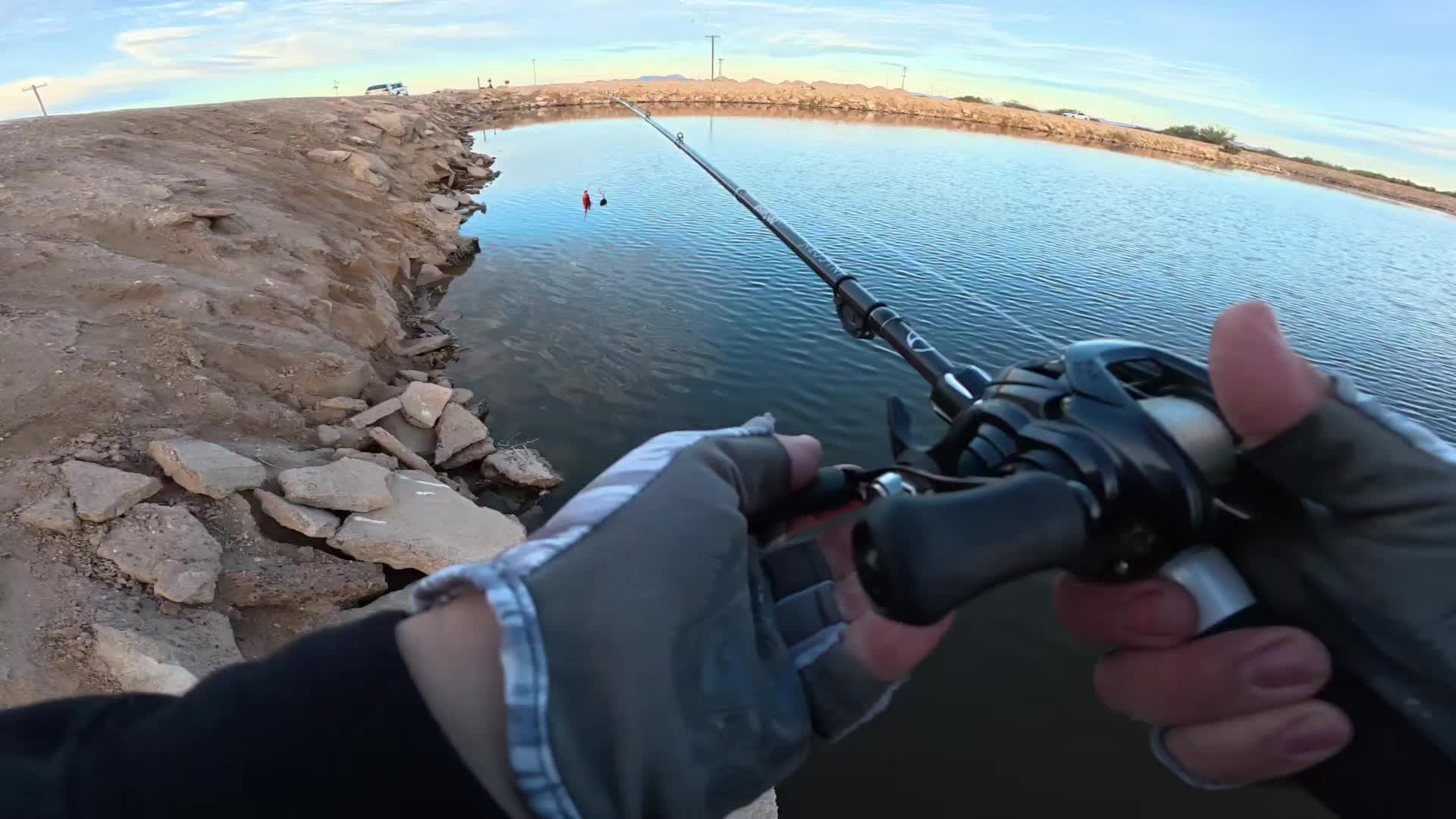 @SalmonInTheDesert