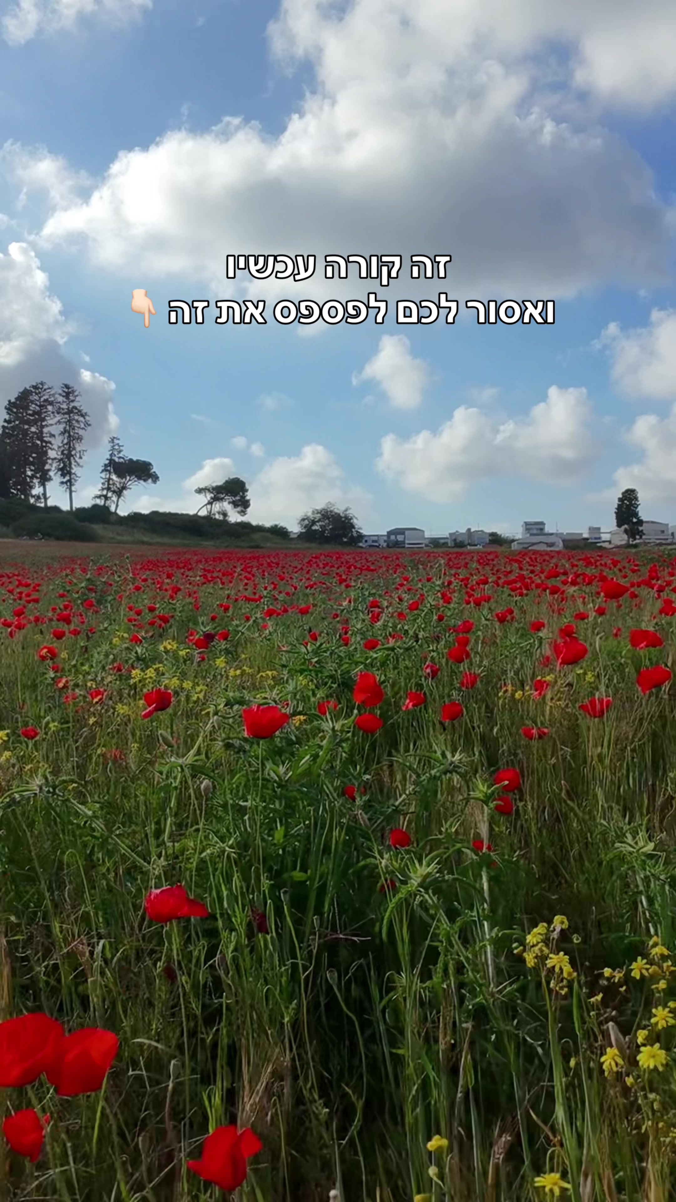 @AviranTravels
