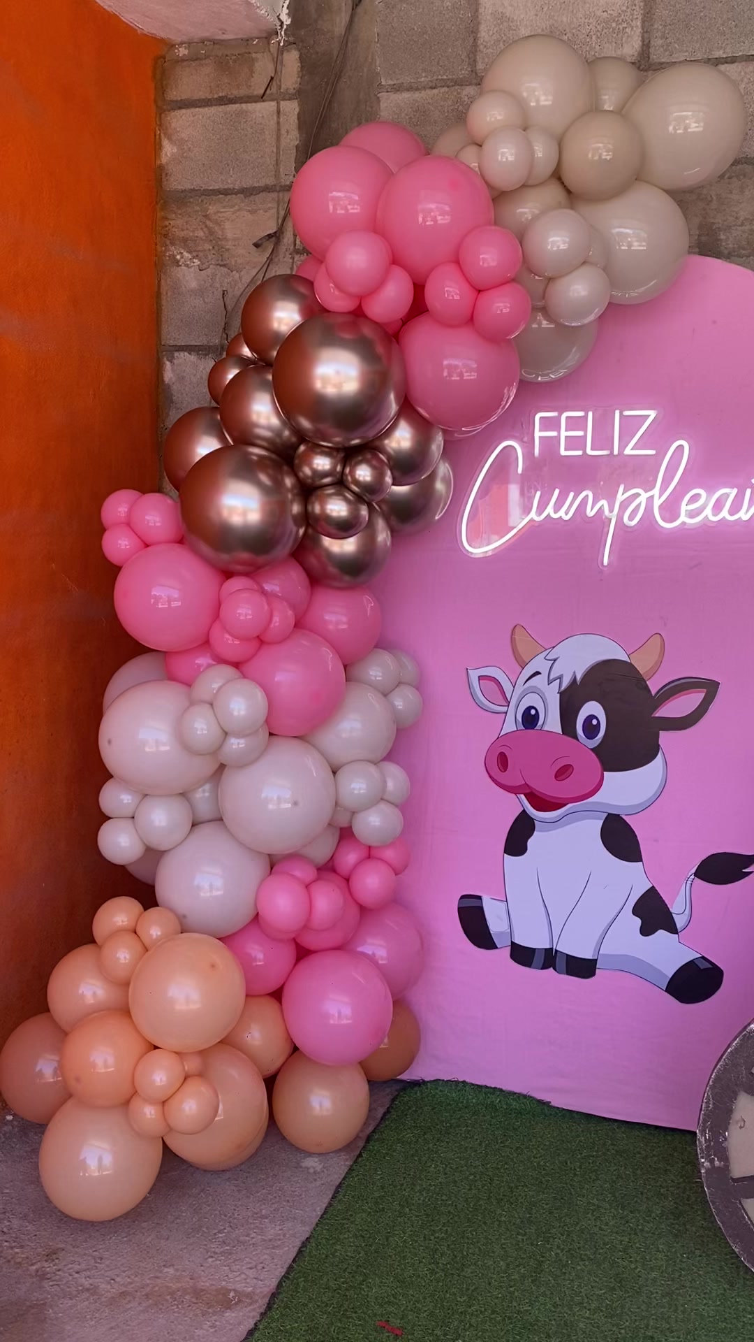 @🎈✨Ballons OLY✨🎈