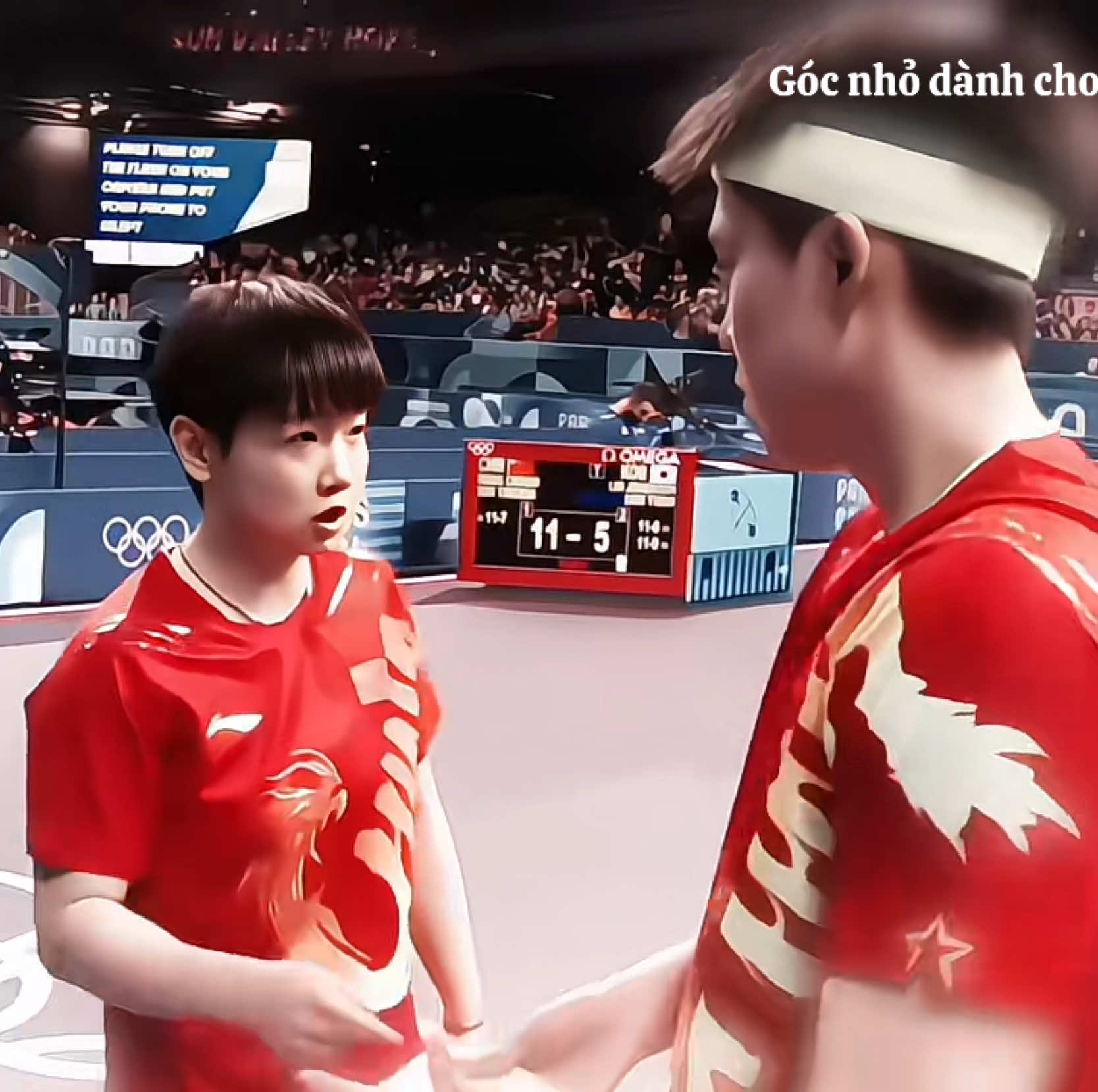 @Góc nhỏ dành cho ShaTou🦁🦈❤️