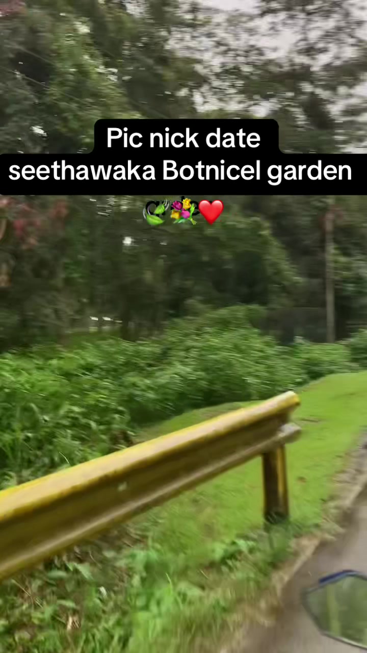 @sheenagirl3