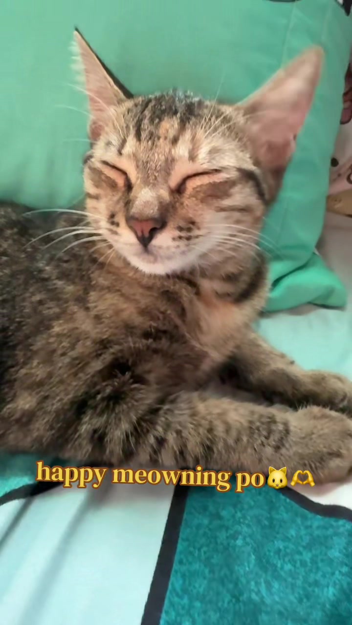 @️ྀིྀི ྀིྀི :)