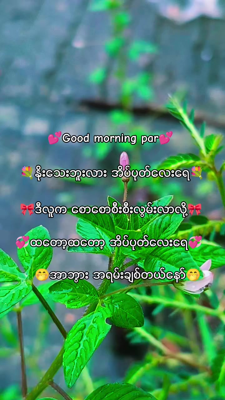 @๐ฅ๐ต๐๐๐ฆ๐ฅ๐ฟ๐๐ฆ๐ฅ(official)