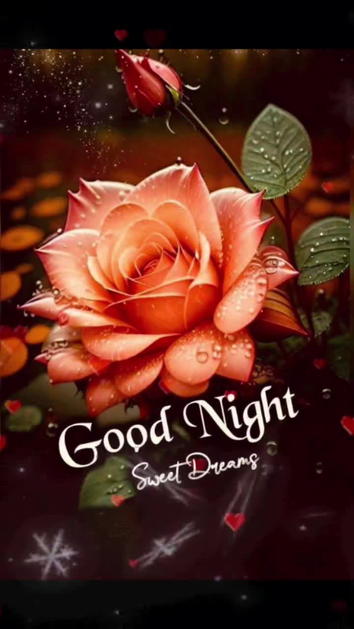 @Sai Meena