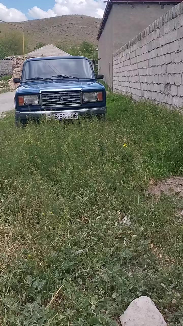 @Rahib Naxcvanlı